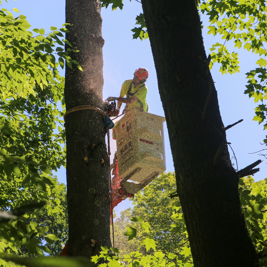 Professional chimney removal in Mansfield & Coventry, CT