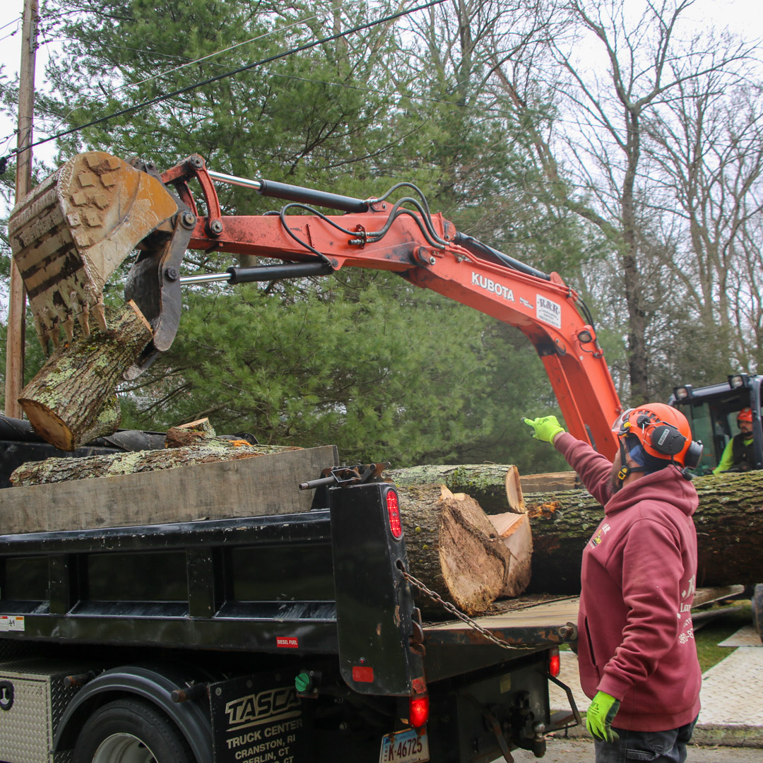 Storm cleanup service in Hartford & South Windsor, CT