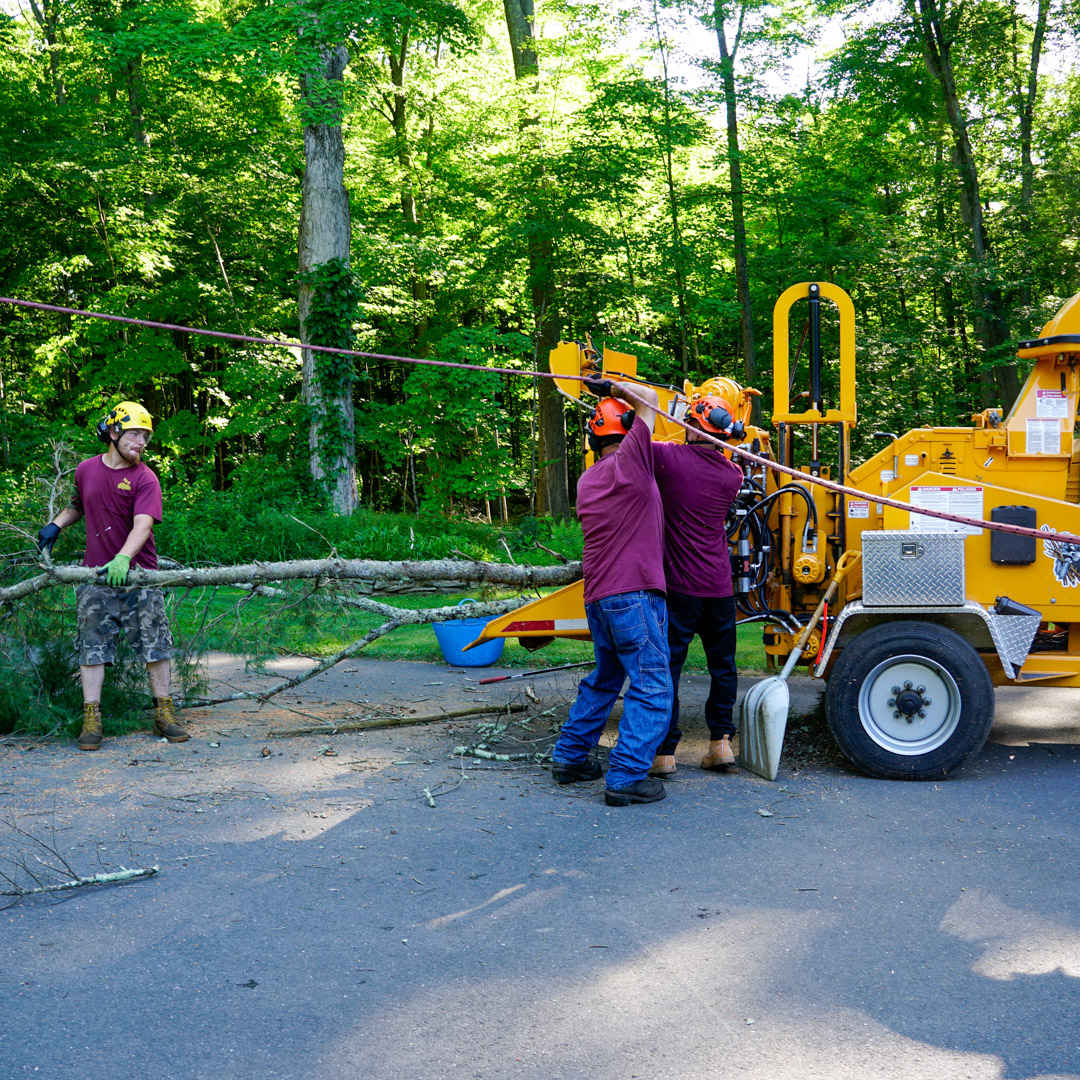 Onsite wood chipping in Mansfield & Glastonbury, CT