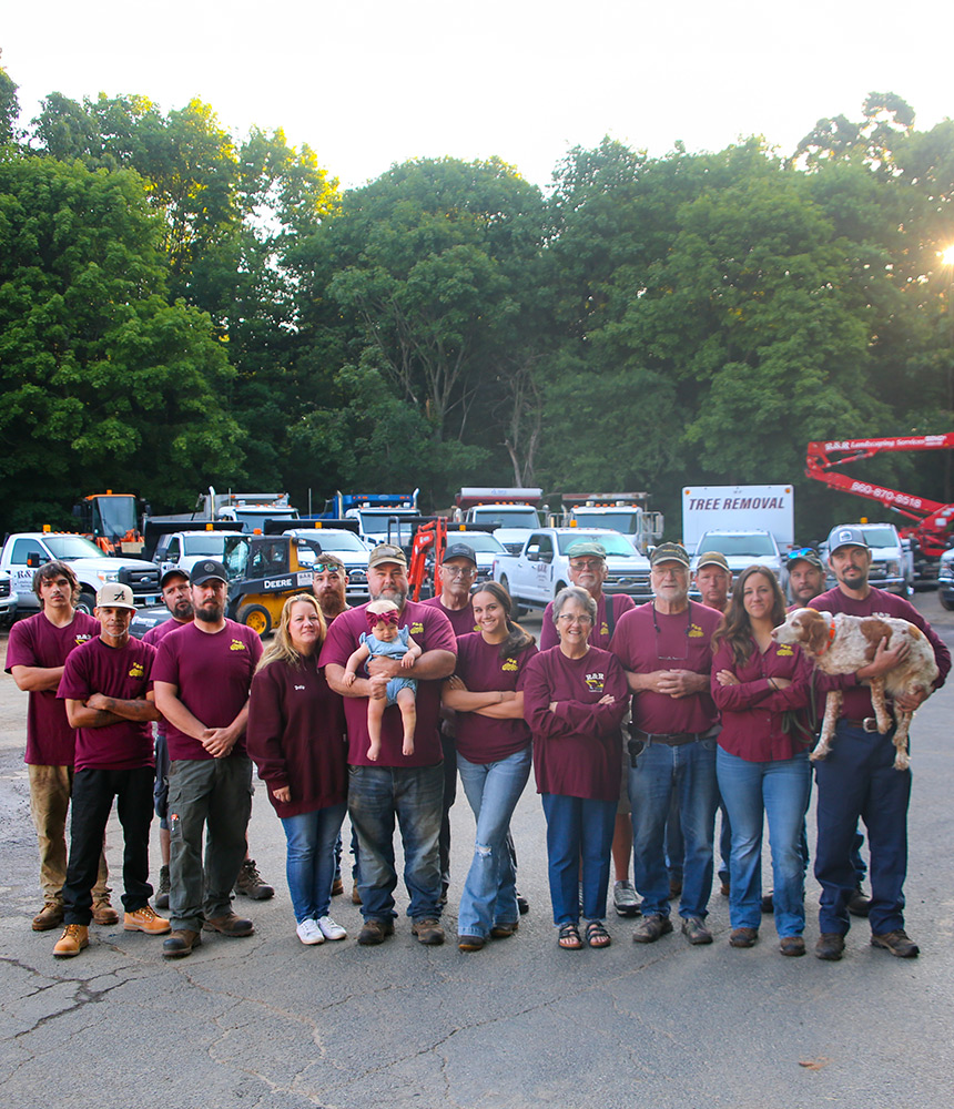 Landscaping & Tree Service In Central CT Tank Removal & More