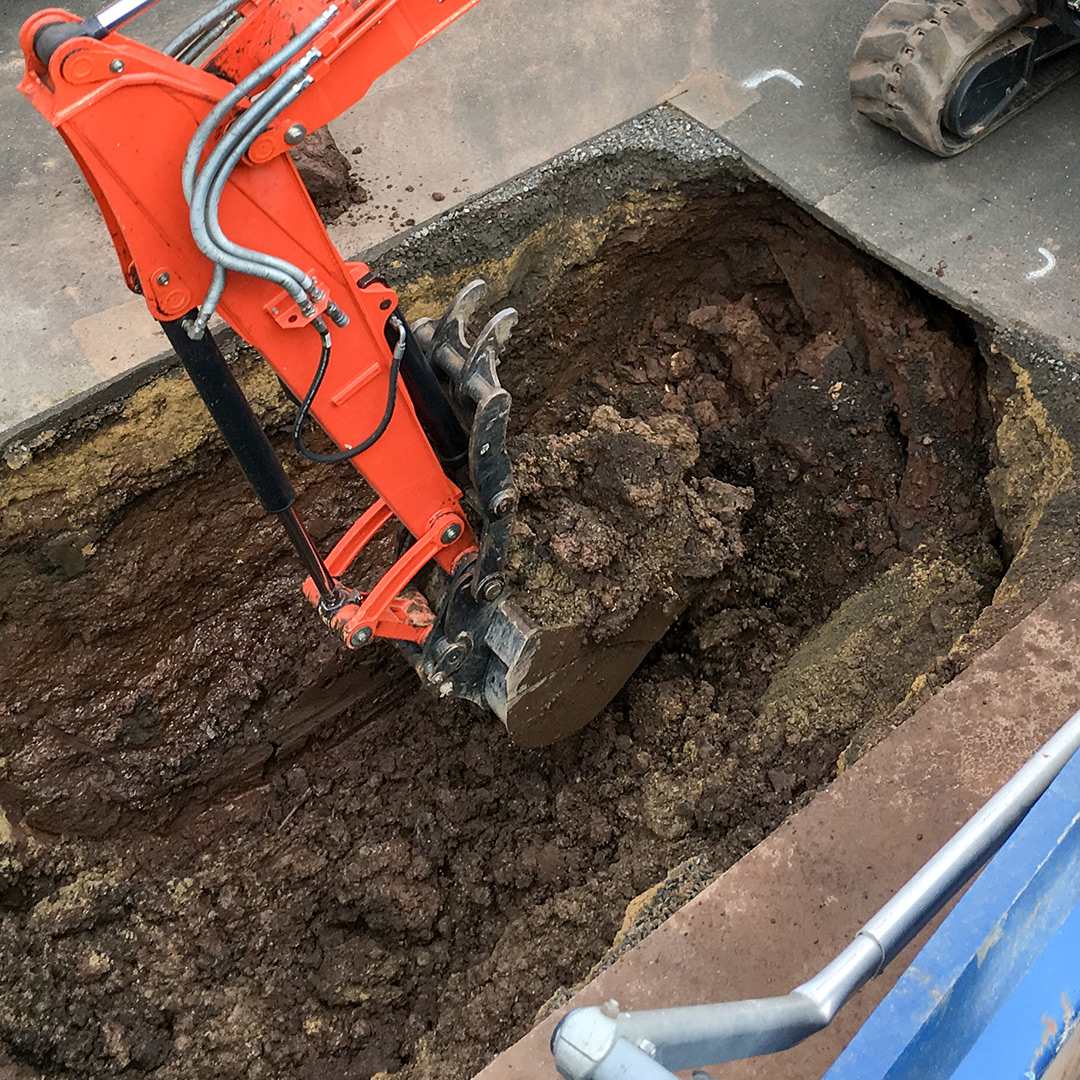 Professional tree excavation in Ellington & Avon, CT